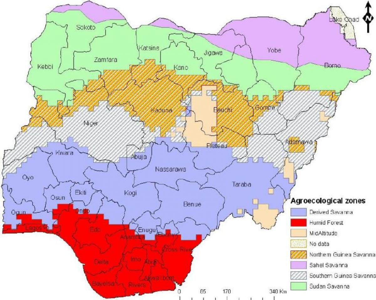 bitki örtüsü bölgeleri gösteren Nijerya haritası çizmek 